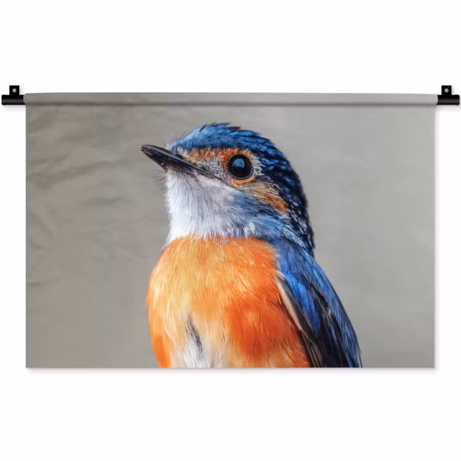 Wandkleed - Kleurrijk - Vogeltje - Veren - Blauw