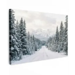 Weg - Sneeuw - Naaldbos - Winter - Avontuurlijk canvas 2cm klein -z3d