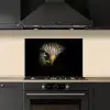 Vogel - Adelaar - Roofvogels - Oog - Snavel - Licht keuken achterwand spatscherm klein -sfeer1