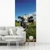 Koe - Tong - Weide fotobehang vinyl groot -woonkamer