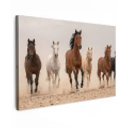 Kudde paarden - Stofwolk - Bruin - Zwart canvas 2cm klein -z3d