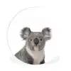 Koala - Dieren - Kind - Wit - Meisje - Jongen Wandcirkel kunststof plaat 5mm dik klein -3d