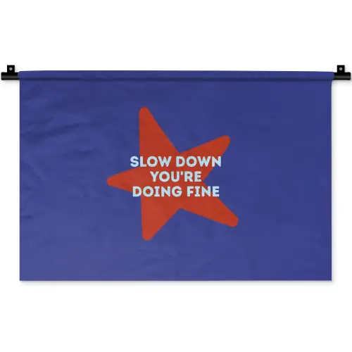 Slow down you're doing fine - Ster - Blauw Wandkleed katoen klein -zz3d