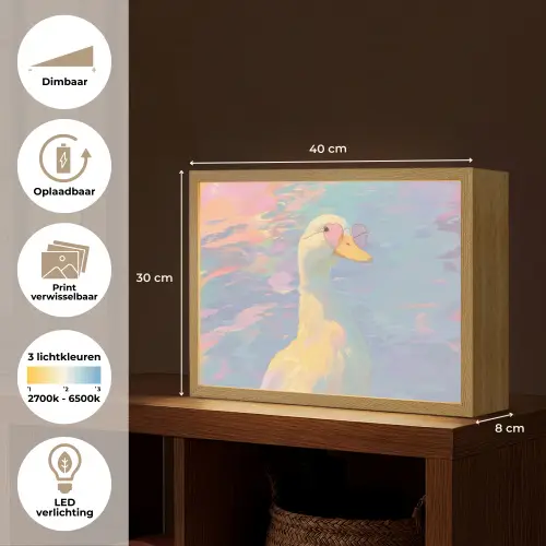 Eend - Zonnebril - Water Light Box met batterij (Wandlamp) middel -USP_websiteoverzichtNL