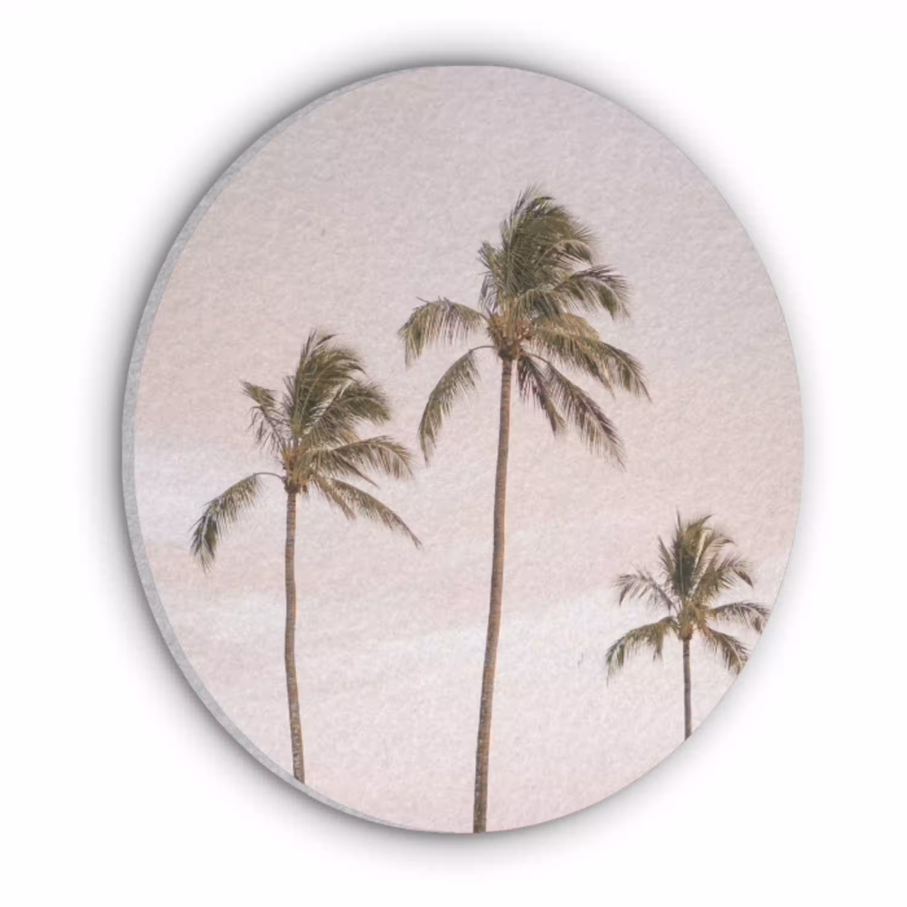 Palmbomen - Zonsondergang - Roze Akoestische PET Vilt - Rond klein -3d