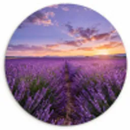 Lavendel - Veld - Natuur - Paars Wandcirkel kunststof plaat 5mm dik klein -3d