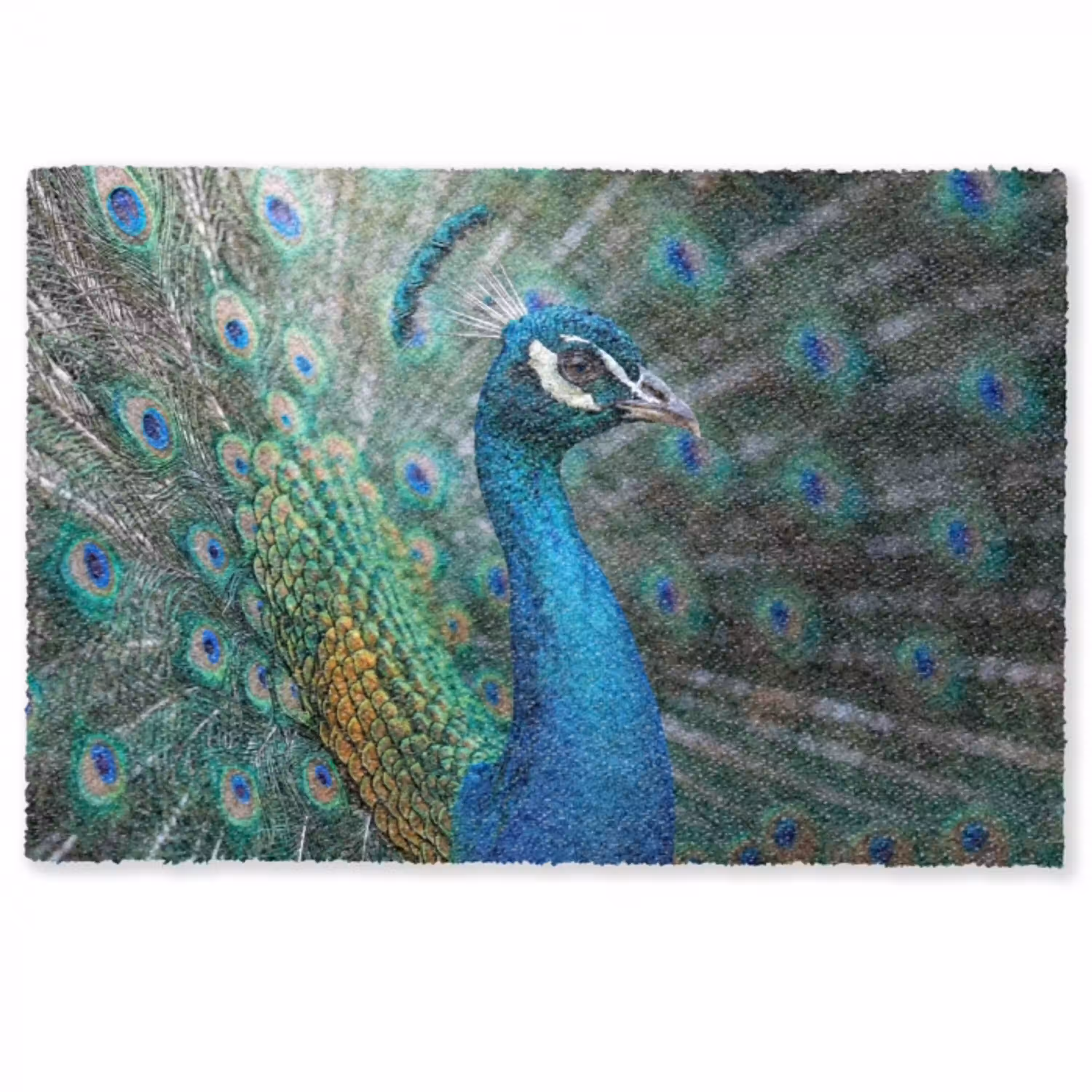 Pauw - Veren - Blauw Deurmat klein -zkaufland3d