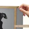 Coltrui - Hond - Bril - Mok Light Box met batterij (Wandlamp) middel -USP_websiteprintNL