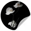 Orchidee - Bloemen - Zwart - Wit - Stilleven Wandcirkel behangsticker klein -3d