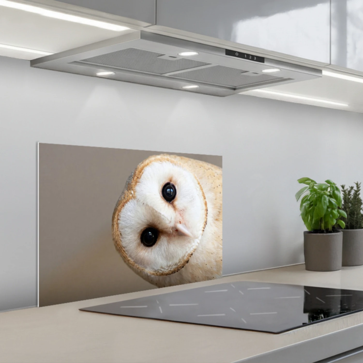 Uil - Bruin - Wit keuken achterwand spatscherm klein -3d_schuin
