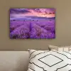 Lavendel - Paars - Bloemen - Veld canvas 2cm klein -sfeer3