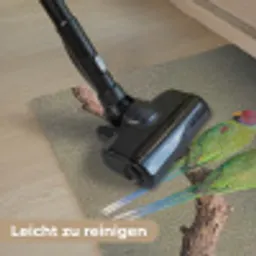 Papagaai - Tak - Natuur - Kleurrijk Deurmat klein -reinigen_DE
