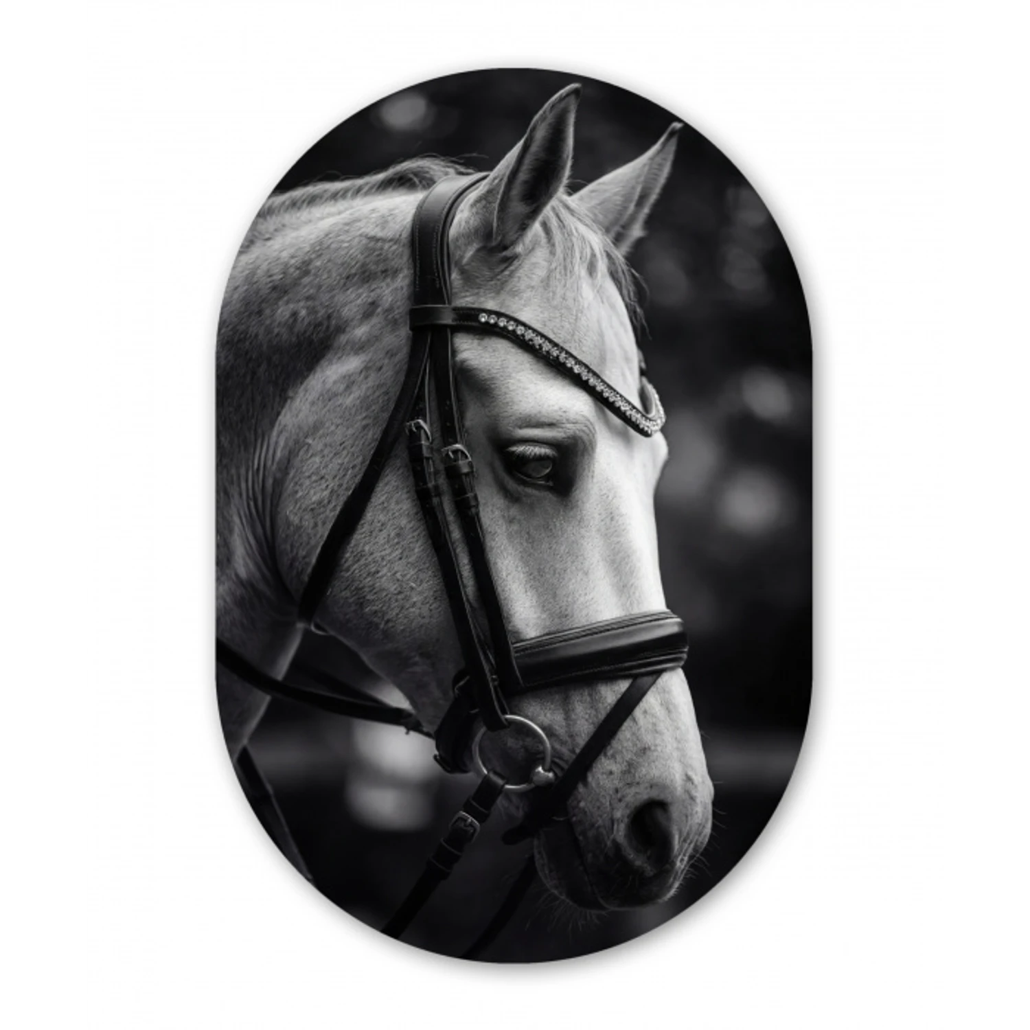 Paard - Schimmel - Portret Wandcirkel Ovaal Aluminium middel -3d