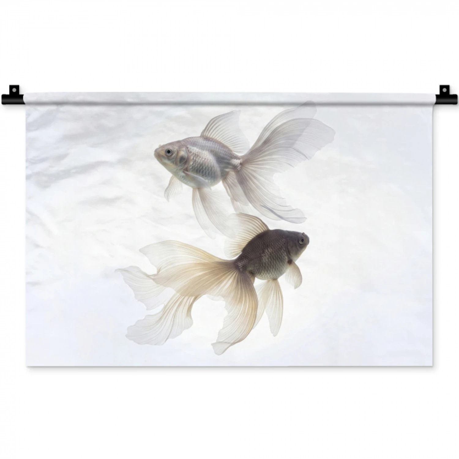 Goudvissen - Modern - Wit Wandkleed katoen klein -zz3d