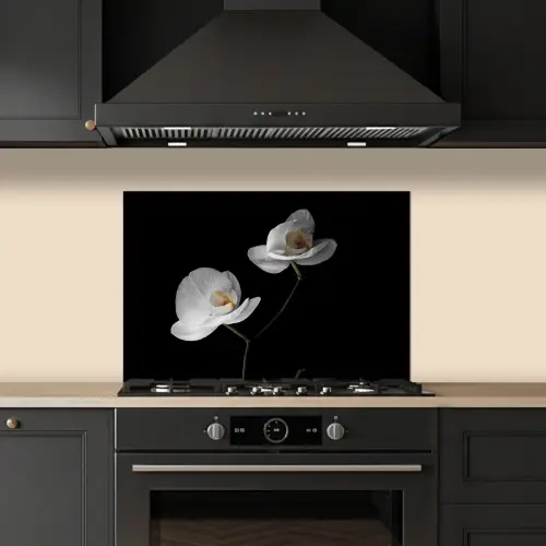 Orchidee - Bloemen - Zwart - Wit - Stilleven keuken achterwand spatscherm klein -sfeer1