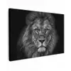 Leeuw - Dieren - Zwart - Wit canvas 2cm klein -z3d