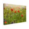 Lente - Bloemen - Rood - Klaproos - Gras - Groen canvas 2cm klein -z3d