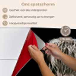 Schotse hooglander - Goud - Hoorns - Zwart wit - Koe - Dieren keuken achterwand spatscherm klein -spatscherm_NL