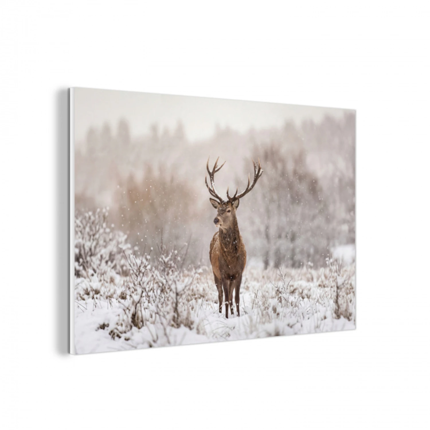 Edelhert - Bos - Sneeuw - Winter - Majestueus forex 5mm xxl -3d