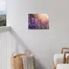 Lavendelbloemen - Paars - Zonlicht tuinposter los doek klein -sfeer8