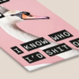 Zwaan - Vogel - Decoratie - Roze fotolijst zwart zonder passe partout klein -zsfeer6
