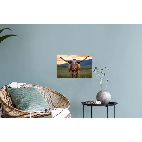 Longhorn - Landschap - Zonsondergang Muursticker klein -plant