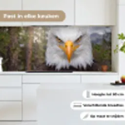 Amerikaans - Zeearend - Portret - Geel keuken achterwand 2 middel -sfeer4_NL