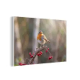 Roodborst - Tak - Bessen - Natuur forex 5mm xxl -3d