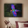 Felgekleurd - Papegaai - Bos - Vleugels Textielframe zwart klein -sfeer1