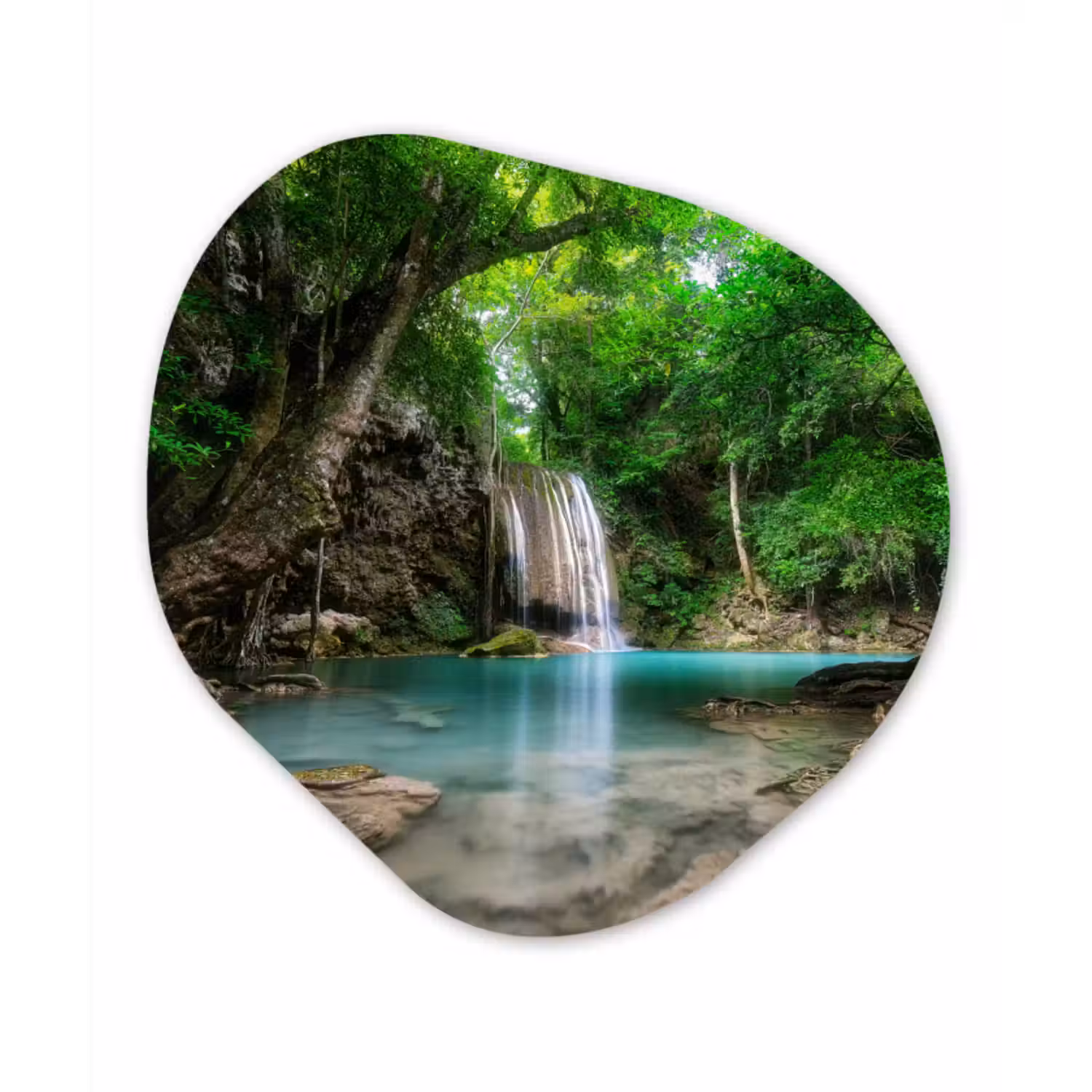 Organische Formen – Aluminium – Jungle - Waterval - Planten - Water - Natuur