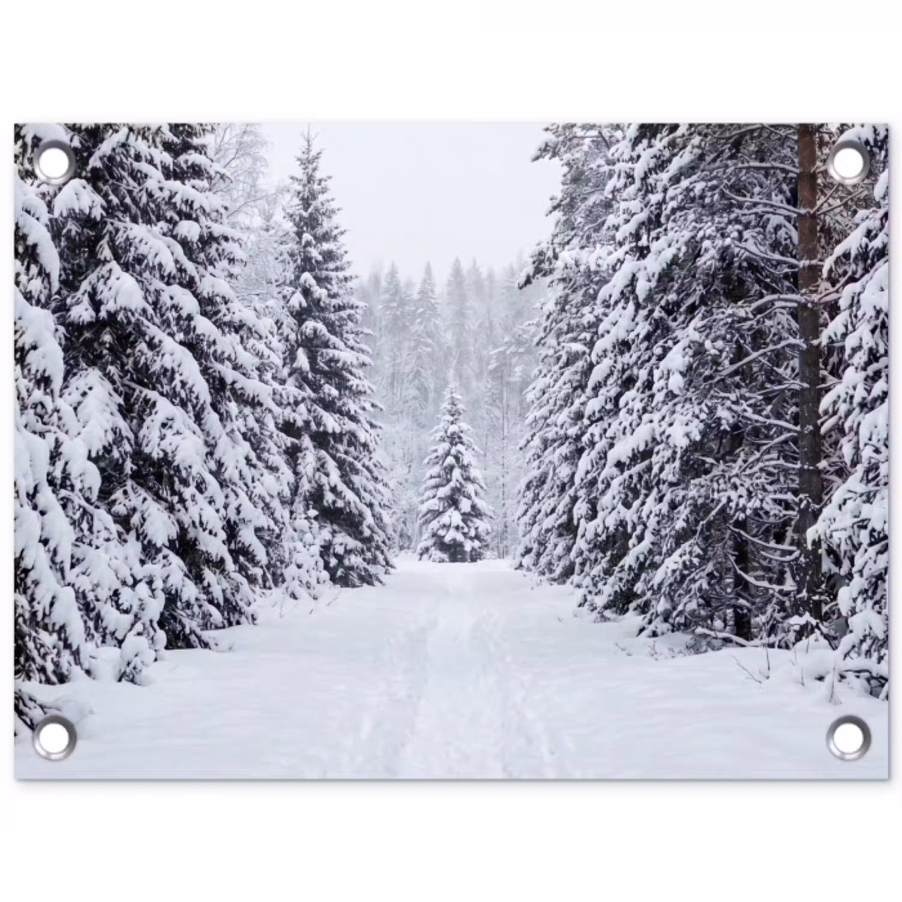 Bos - Winter - Sneeuw - Pad - Natuur tuinposter los doek klein -3d