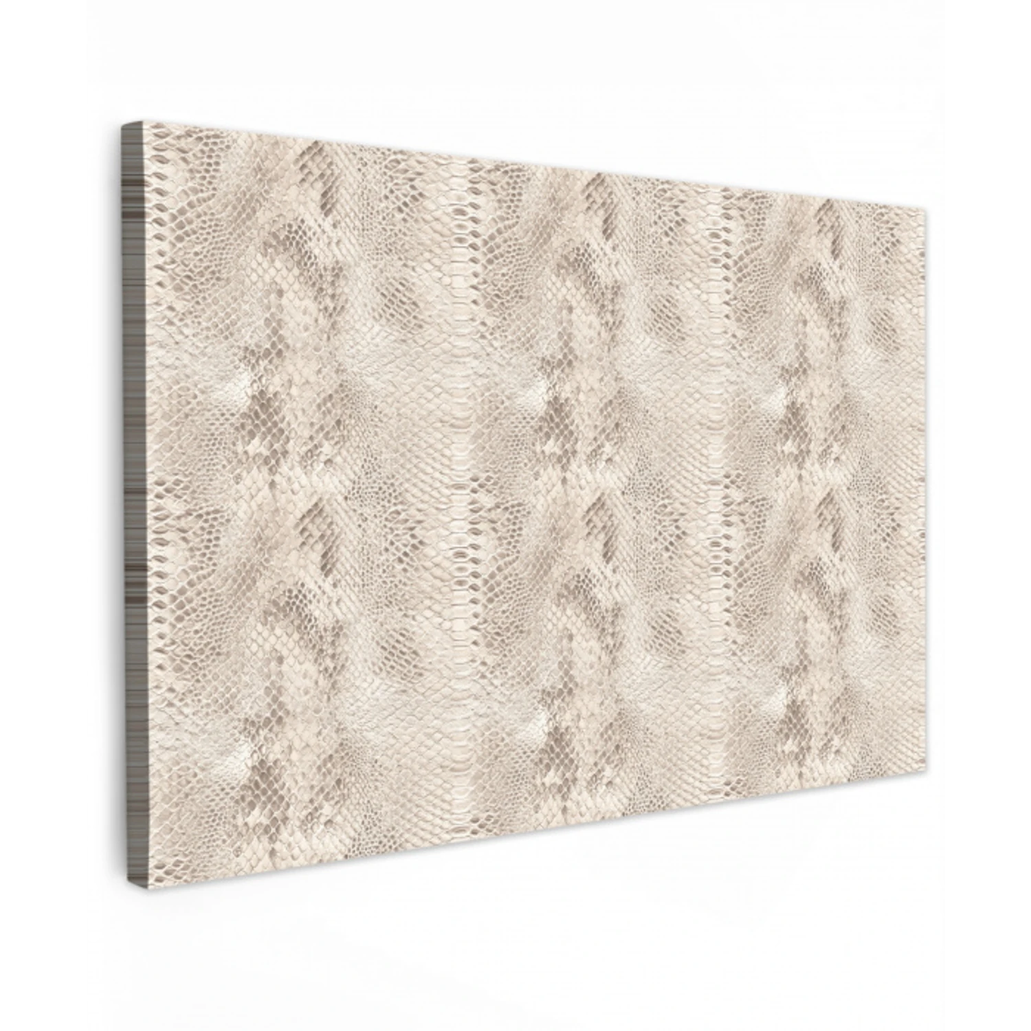 Slang - Patroon - Beige Tuinposter op houten frame 2 cm dik klein 845 -3d