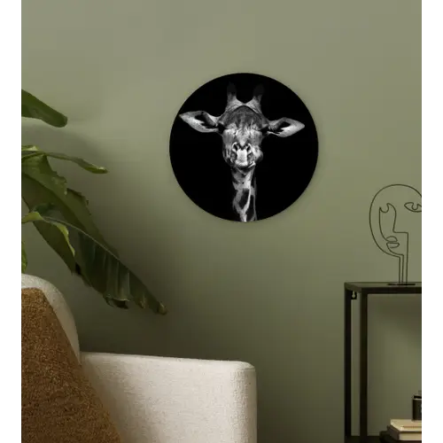 Giraffe - Portret - Dieren - Zwart - Wit Wandcirkel kunststof plaat 5mm dik klein -sfeer3