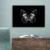 Vlinder - Grijs - Mysterieus canvas 2cm klein -sfeer4