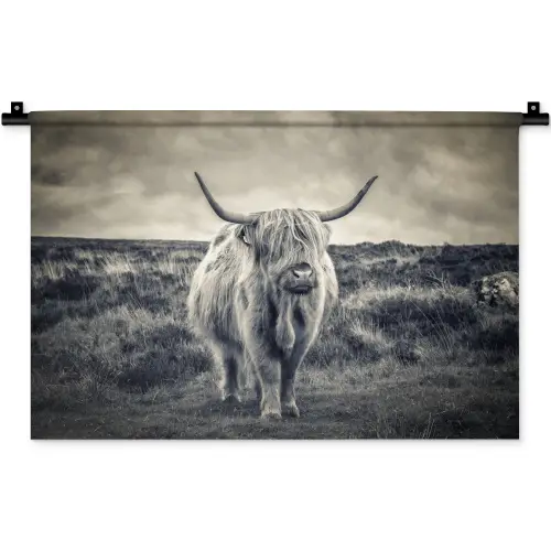 Schotse hooglander - Dieren - Wolken - Koe - Natuur Wandkleed katoen klein -zz3d
