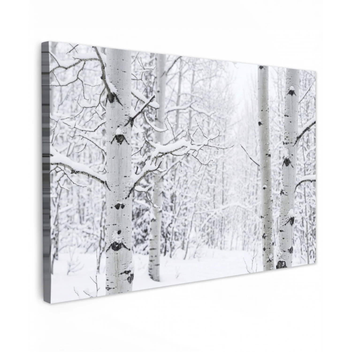 Berkenbomen - Sneeuw - Winter - Bos - Wit canvas 2cm klein -z3d