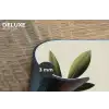 Olijftak - Donkergroen - Olijven Placemat vinyl groot -closeup