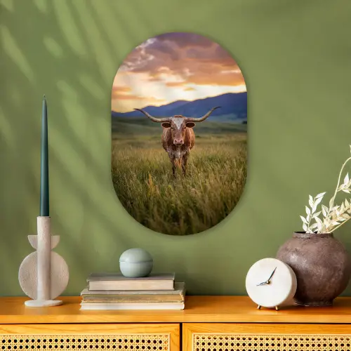 Longhorn - Landschap - Zonsondergang Wandcirkel Ovaal Forex klein -sfeer2