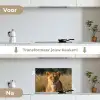 Leeuwin - Gras - Geel keuken achterwand spatscherm klein -voor_na_NL