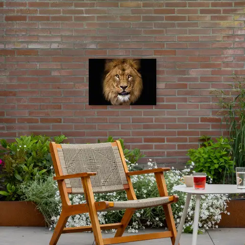 Indrukwekkend portret van een leeuw Tuinposter op houten frame 2 cm dik klein -sfeer3