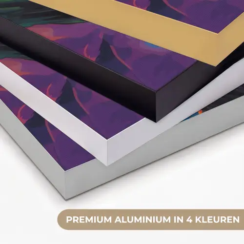 Kikker - Felgekleurd - Tak - Regenboog Textielframe zwart klein -USP_kleurenNL