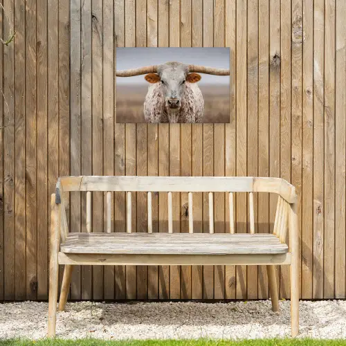 Longhorn - Grasveld - Dier Tuinposter op houten frame 2 cm dik klein -sfeer4