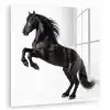 Zwart - Paard - Portret plexiglas 5mm klein -zzzproduct_nieuw