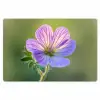 Bloem - Close up - Paars Placemat vinyl groot -zzsfeer1_Kitchenyeah-website
