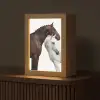 Paard - Modern - Balans Light Box met kabel (Tafellamp) klein -z3d_website