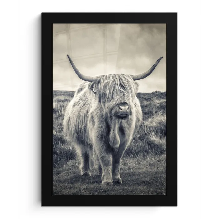 Schotse hooglander - Dieren - Wolken - Koe - Natuur fotolijst zwart zonder passe partout klein -3d
