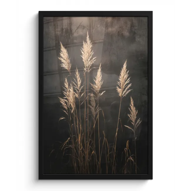 Poster met lijst - Siergras - Pluimen - Verlichting - Zwart