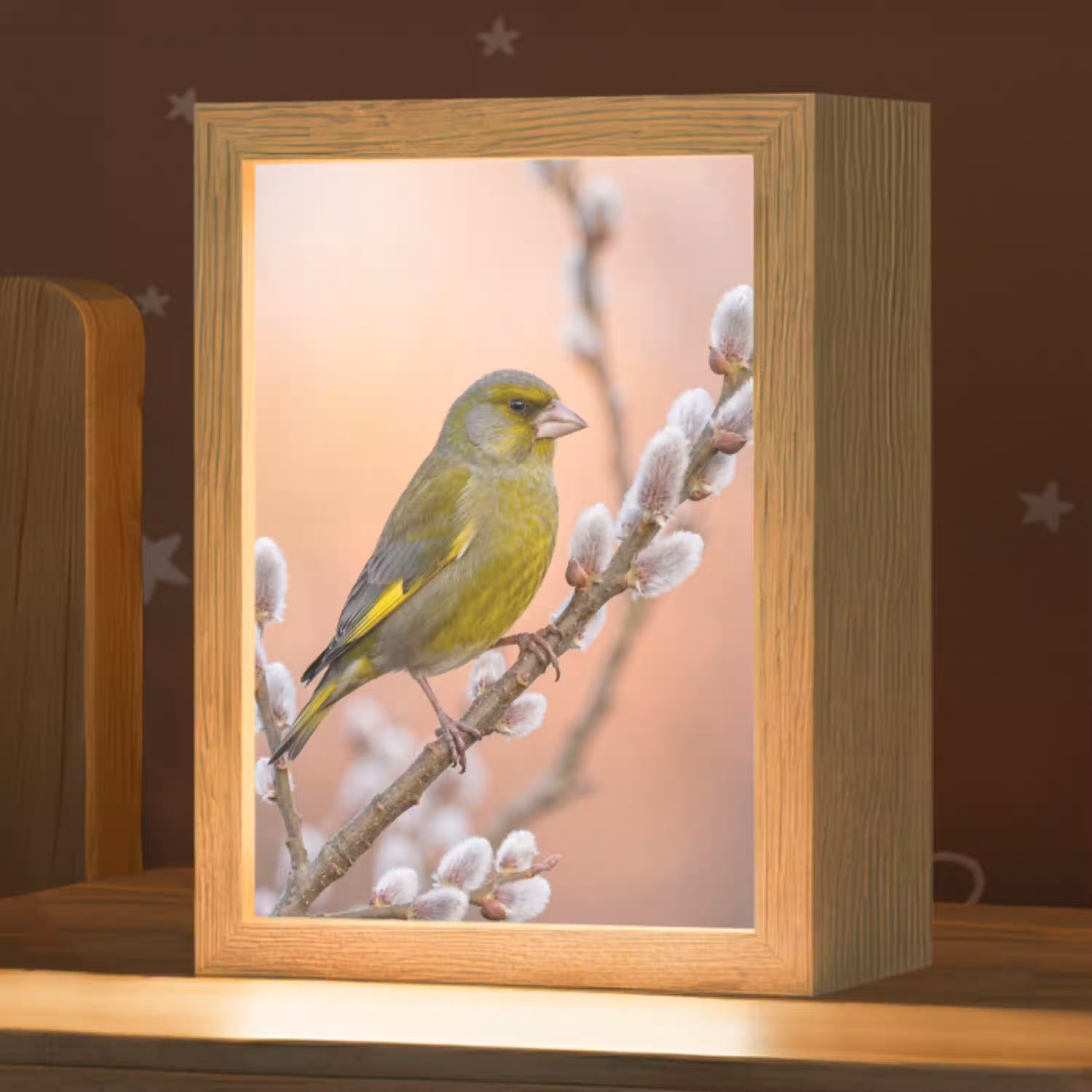 Groenling - Katjes - Lente - Natuur - Zacht Light Box met kabel (Kinderlampje) klein -zzz_3d_website