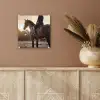 Harmonie - Ruiter - Zon plexiglas 5mm klein -sfeer5
