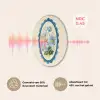 Lijst - Bloemen - Lichtblauw - Illustratie Akoestische PET Vilt - Rond klein -USP_NL
